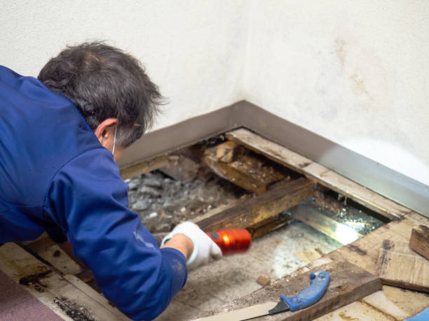 Best Bathroom Mold Remediation in Fair Lawn, NJ
