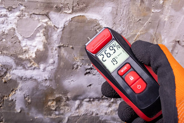 Best Commercial Mold Remediation in Fair Lawn, NJ